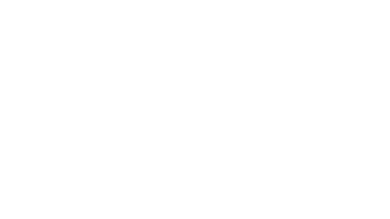 Polaris-Logo